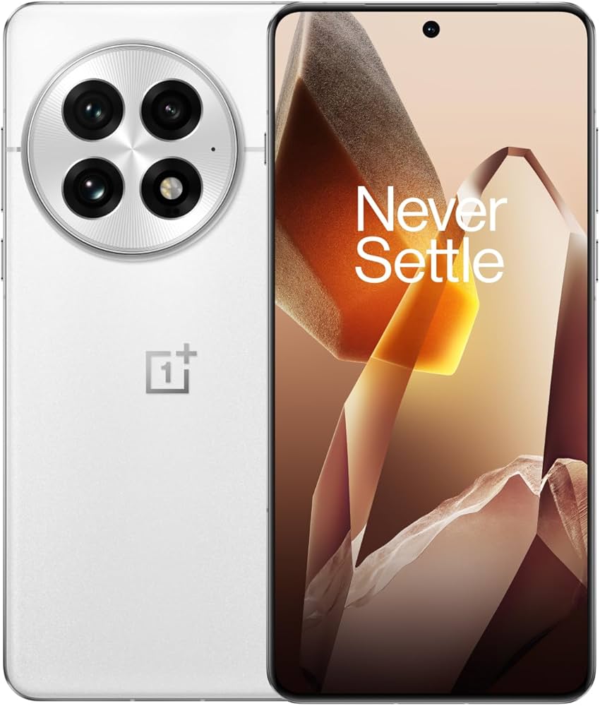 TrueView Display for Oneplus 13